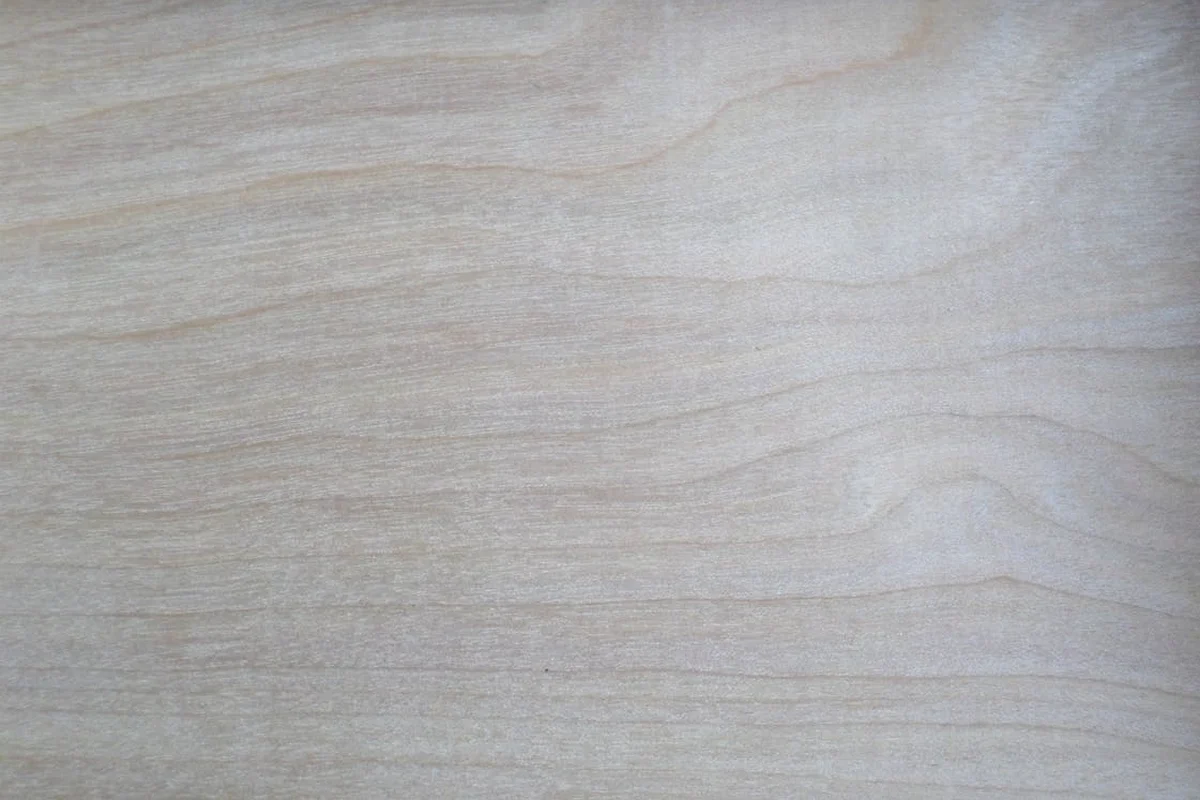 Ahornholz-Tischplatte mit feiner, ruhiger Maserung in hellem Goldton.