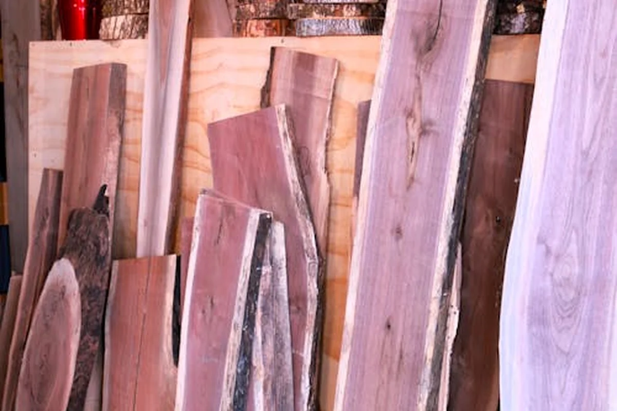 Verschiedene Holzarten im Vergleich: Eiche, Buche, Walnuss und Akazie als Massivholzbretter