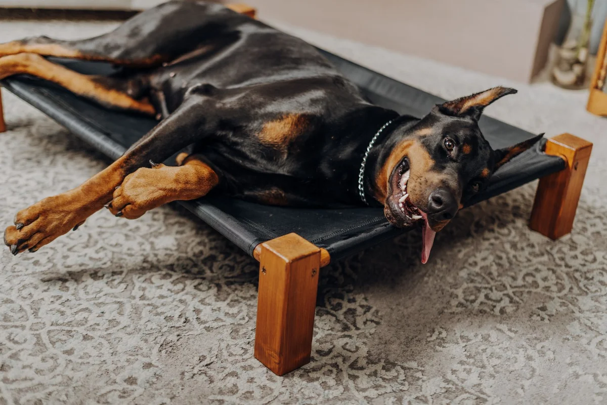 Detailaufnahme eines Hundebetts aus Massivholz mit sichtbarer Maserung und naturgeölter Oberfläche